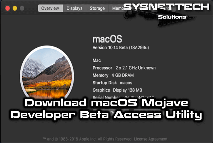 How To Download Mac Beta